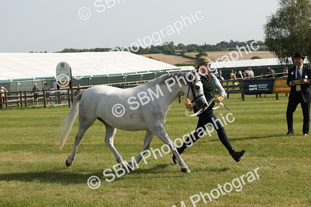 SBM_00751 - Class 6-13 - Mountatin and Moorland In Hand Welsh Breeds