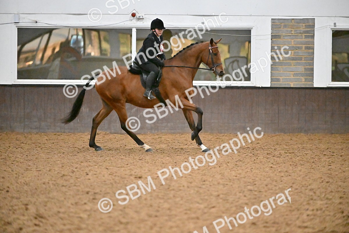 SBM_003071 - Class 37,38 - UKPSAF Performance Horse & Pony