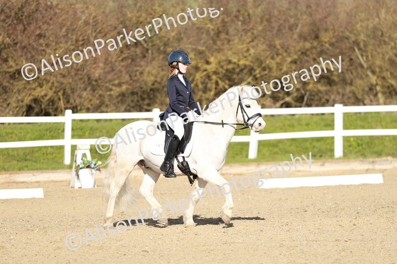 20260314-4513 - DR4 - Prelim 2