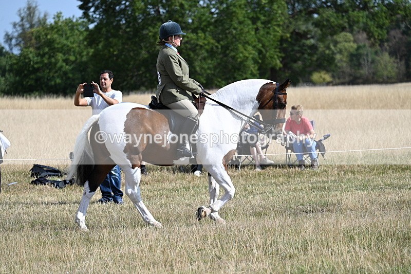 WJ7_2687 - Class 8 Ridden Tack & Turnout