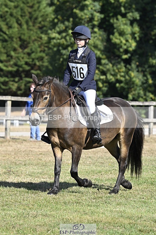 250822A-101252-20170 - DR 10.00 to 11.00