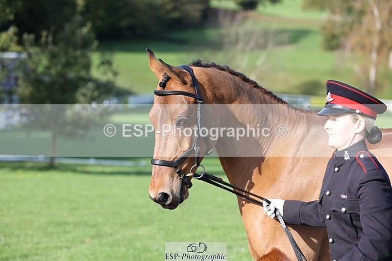 241027-101710-15794 - 516-L.Bdr.Ellie.Mitchell-MICRON.JOY