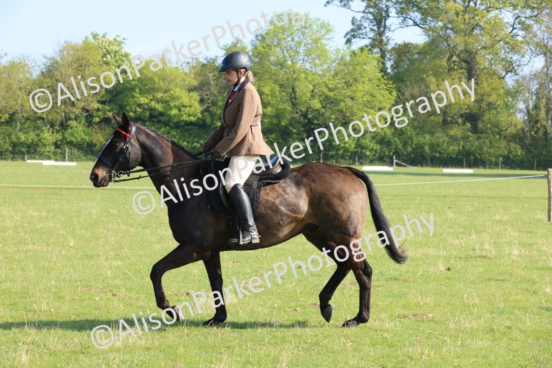 20250427-0516 - Class 17 - Novice Showing