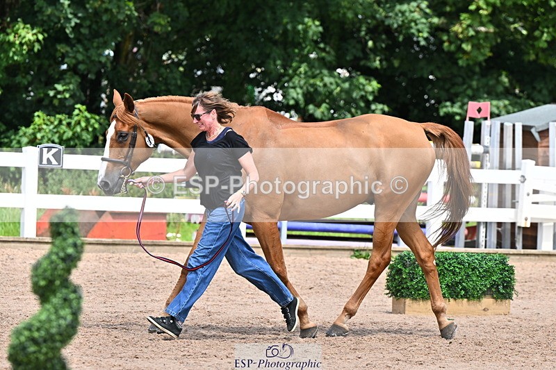 240718A-105320-01860 - Trot Up 1pm to 2pm