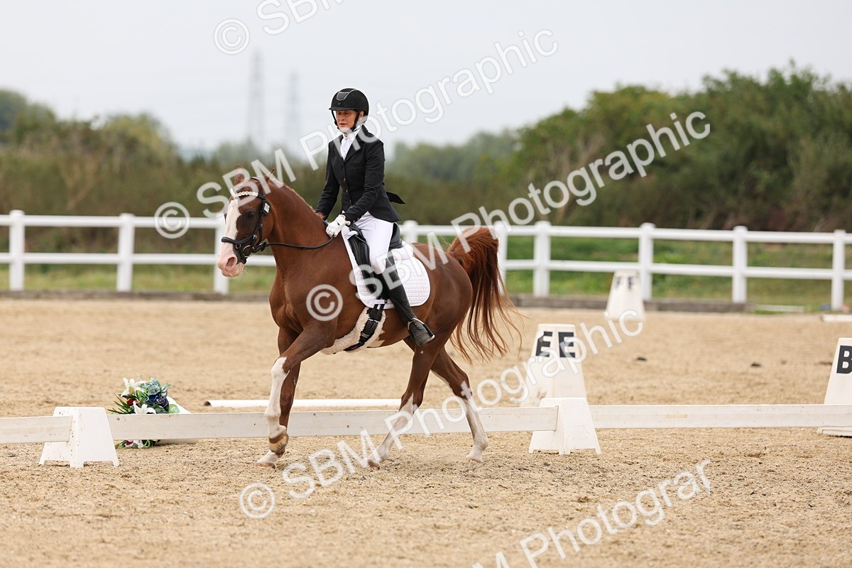 SBM_02082 - Class 8 - Novice 27 Champs
