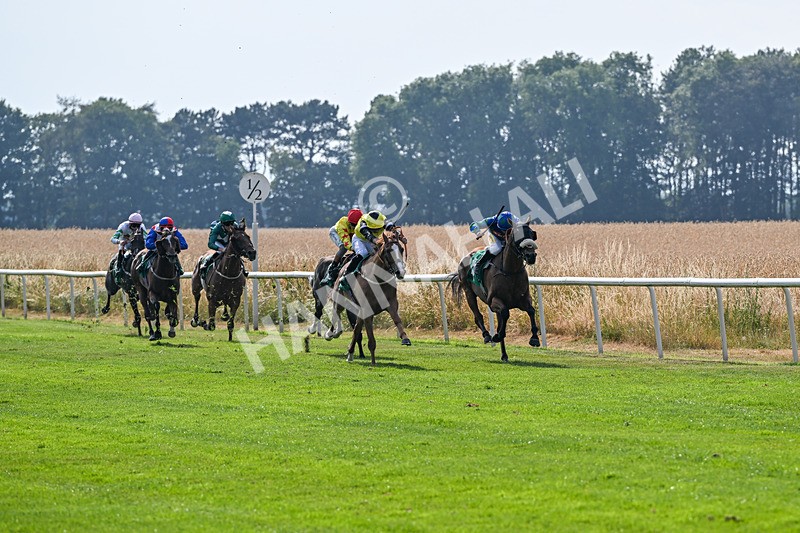 160726-Race 6-Capital Guarantee-5099 - Race 6 16.45pm Thirsk Sky Bet Summer Festival Day Friday 24th July Handicap
