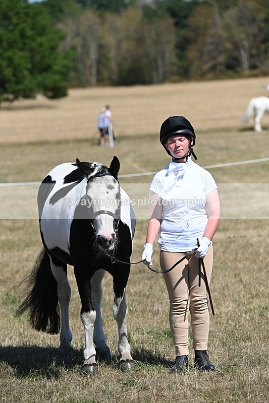 WJ6_8662 - Class 37b Best Loan Pony In-hand
