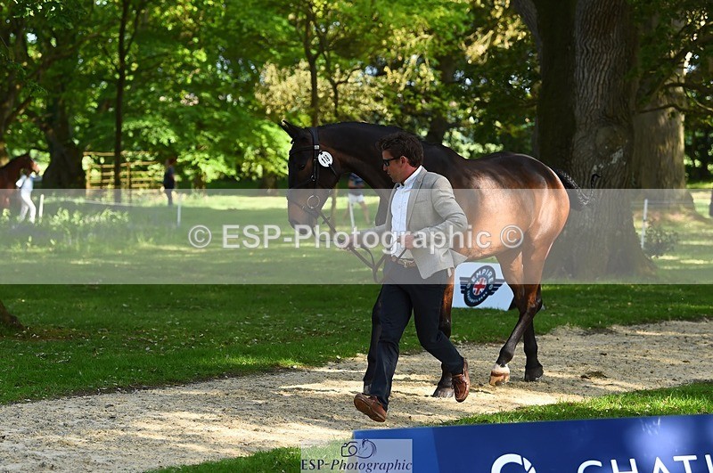 230524-165056-01128 - 119-AUTOGRAF-Simon_Grieve-WEDTrotUp+DR