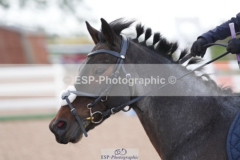 250902-160049-00236 - 60cm