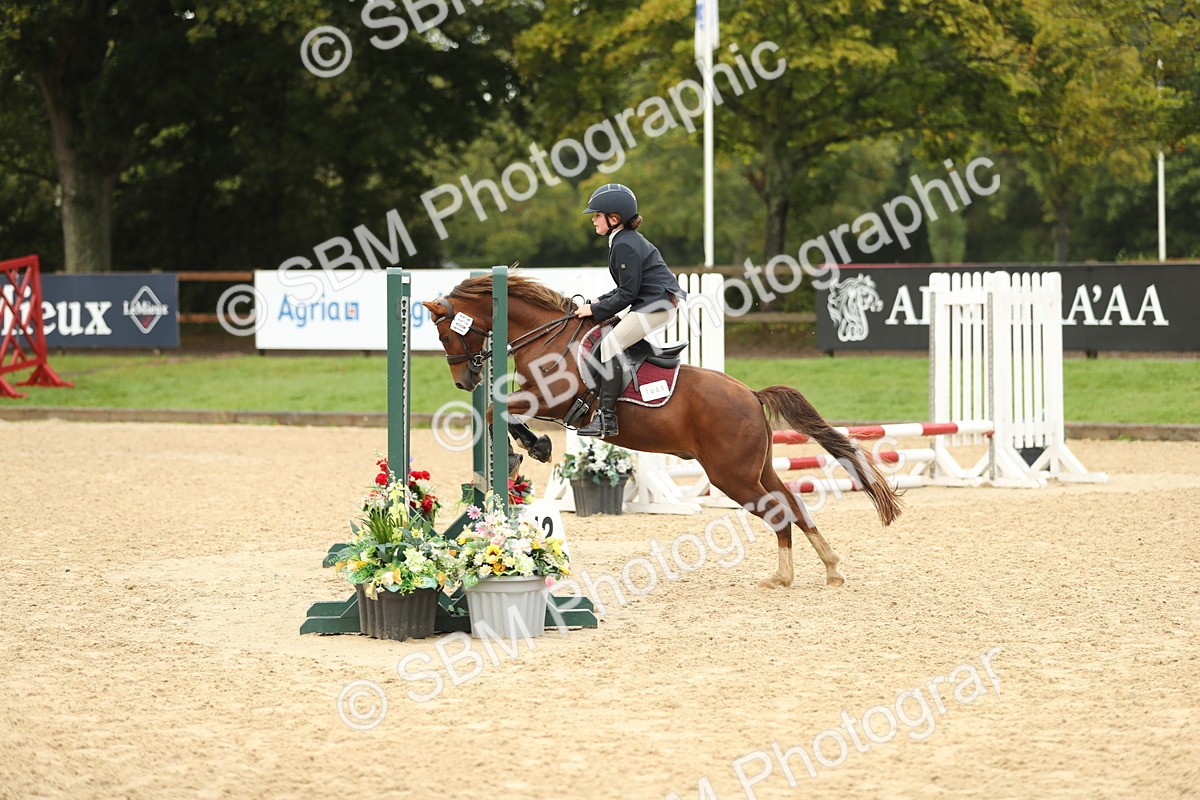 SBM_34230 - J60 Clear Round 50cm