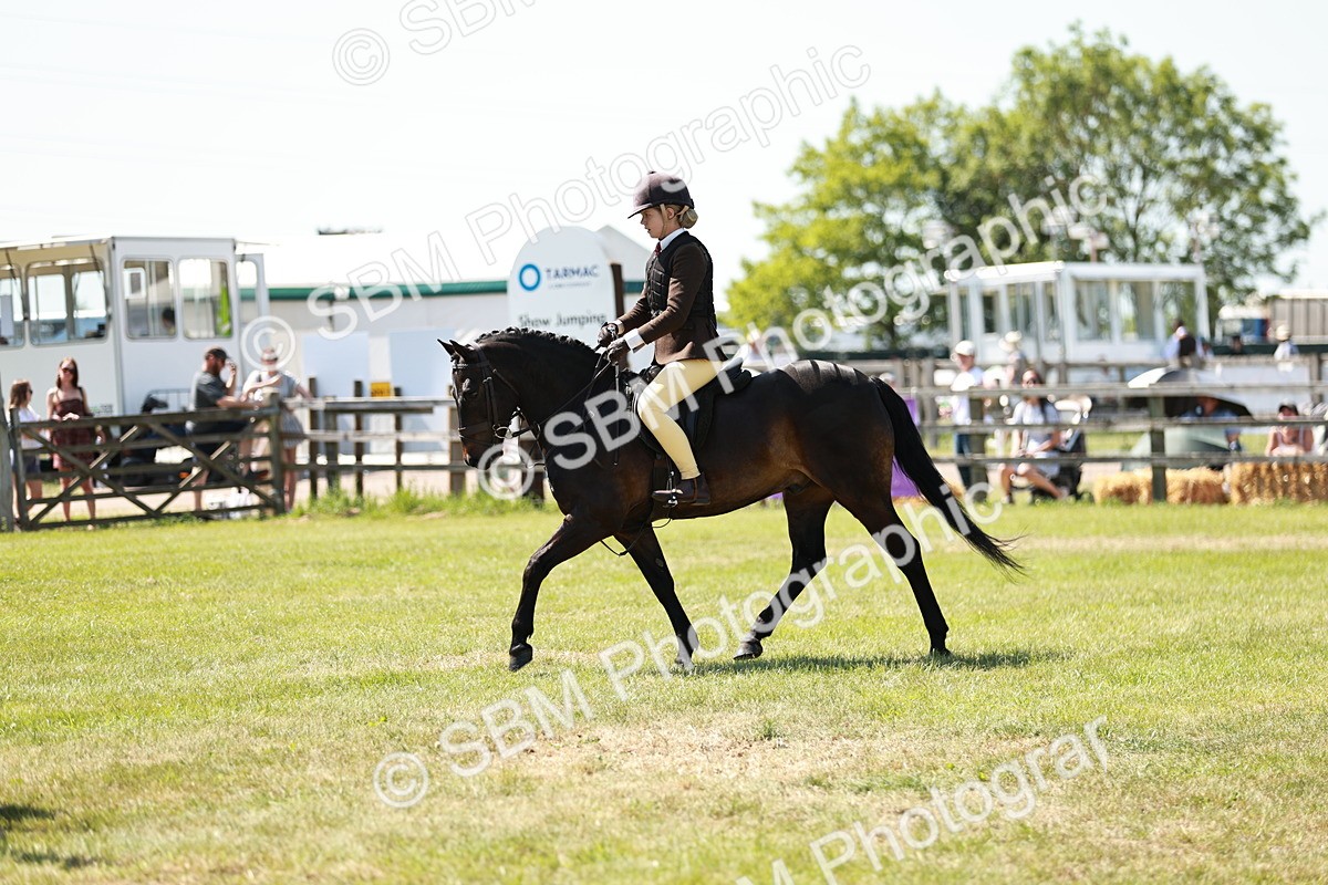 SBM_17654 - Class 112-113 - BSPS LIHS Working Sports Pony