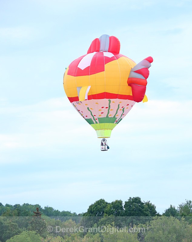 Atlantic International Balloon Fiesta Sussex New Brunswick Canada