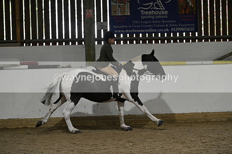 WJ7_4090 - Class 17 Ridden Cob