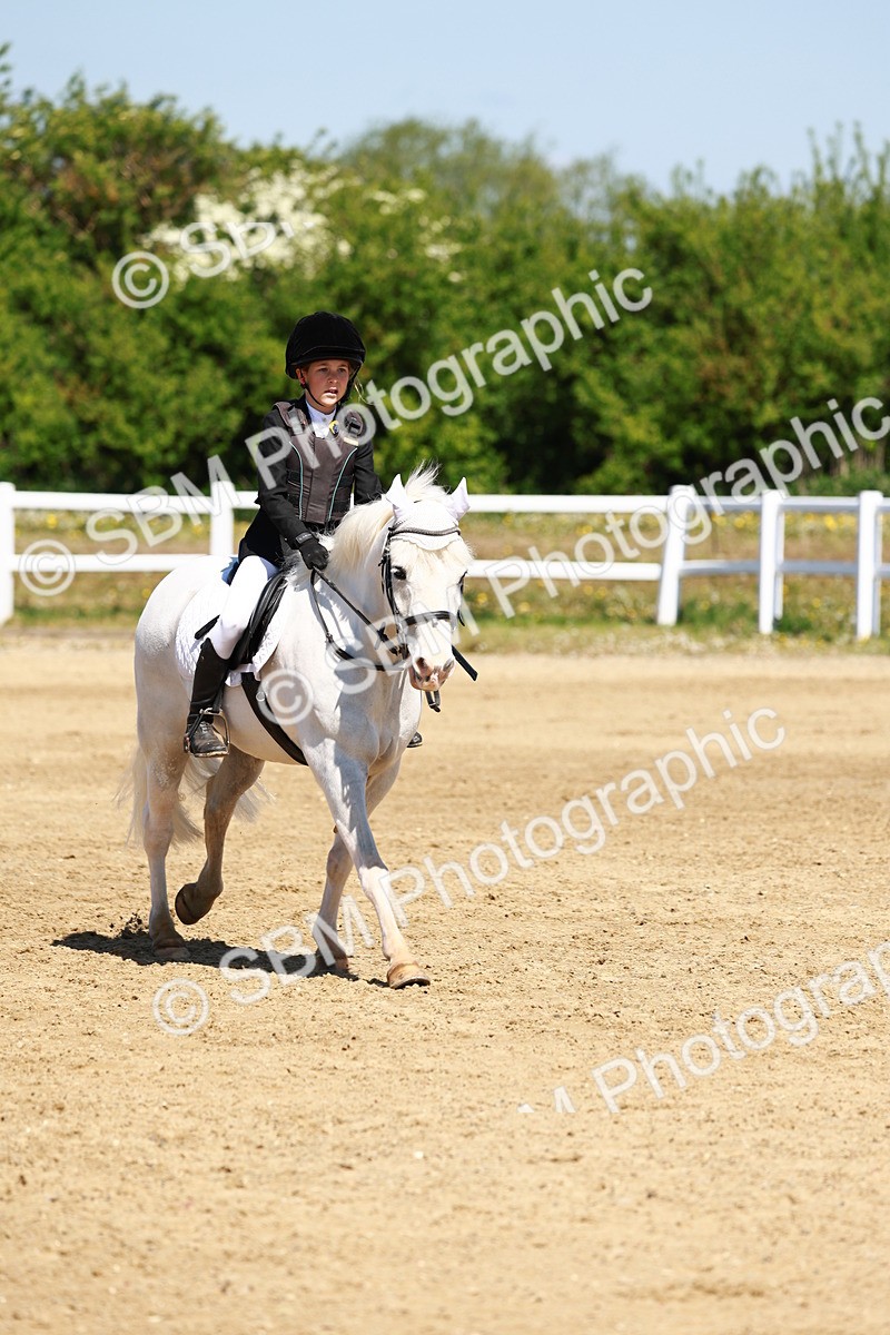 SBM_007155 - Class 3 - 60cm