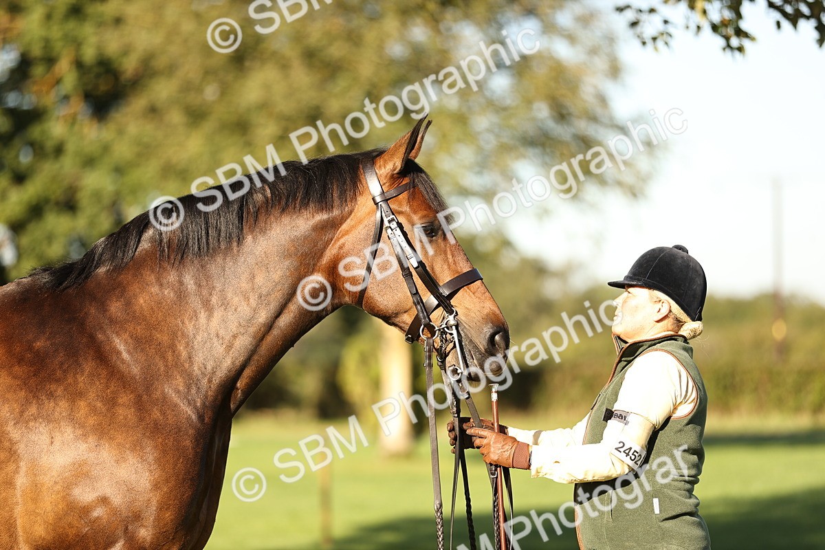 SBM_15728 - S1 - TSR in Hand Horse & Pony Showing