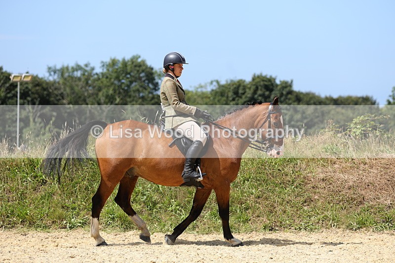 1X9A8694 - Class 22: Veteran