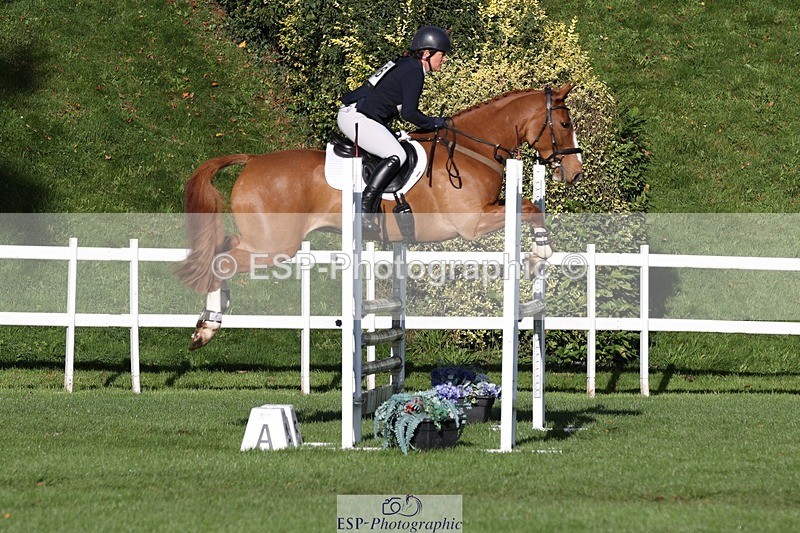 231022-103125-24577 - 606-GOLDEN.HEART.BREAKER-Emily.R.Vincent-TrotUp+SJ