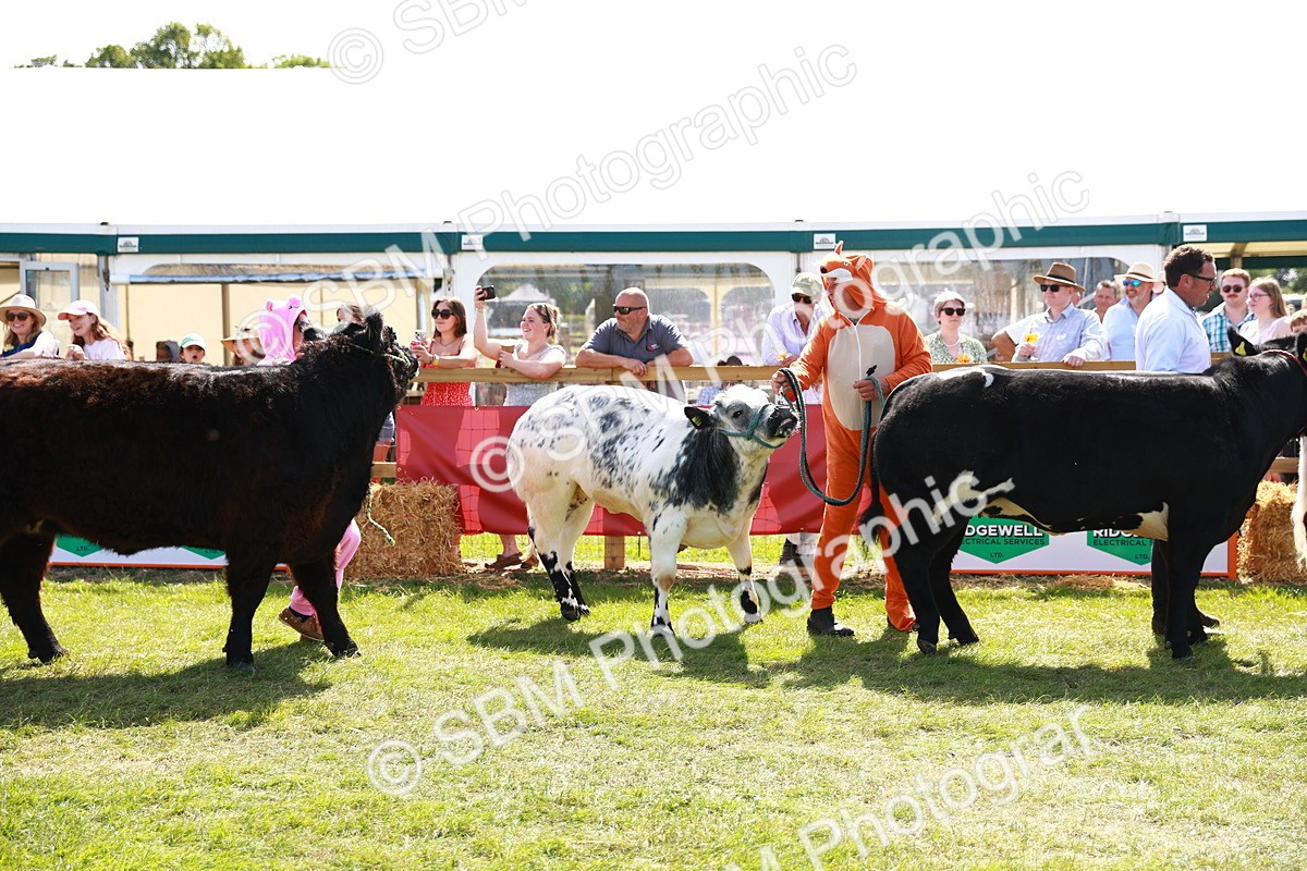 SBM_08426 - Grand Parade