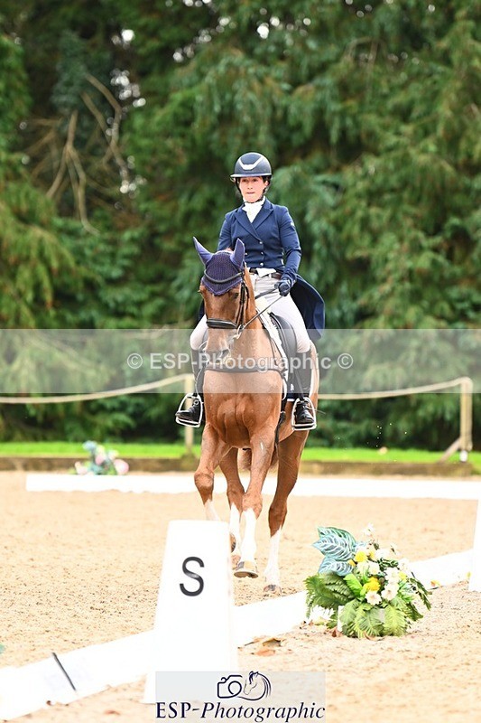 231020-153143-11850 - 213-MGH.HILDARE.HARLEQUIN-Danielle.Mccormack-DR