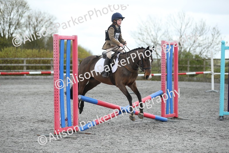 20260412-0739 - Show Jumping