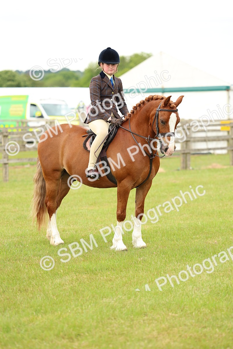 SBM_10397 - Class 44-45 - LIHS BSPS Open Nursery and Cradle Stakes