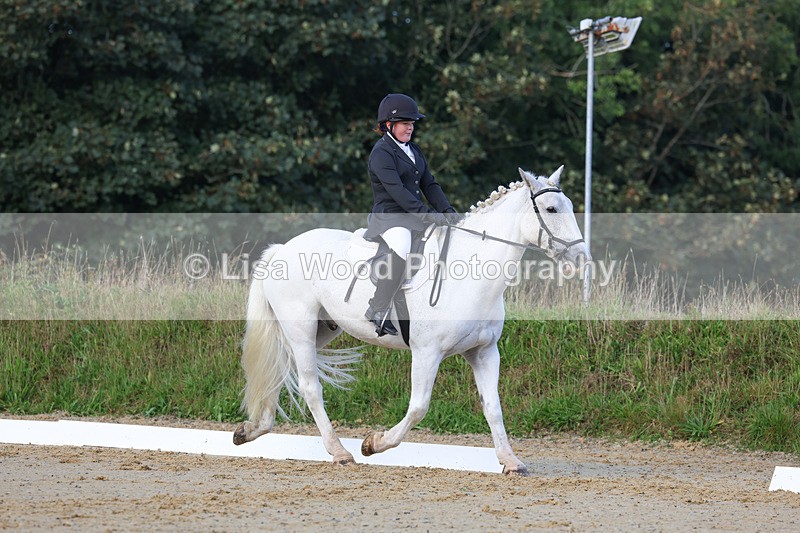 3E7A2447 - Class 1: Intro 4 2024 section A