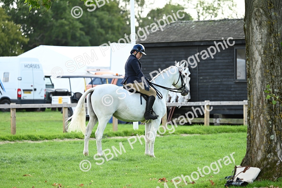 SBM_01699 - S2 - TSR Ridden Horse Showing