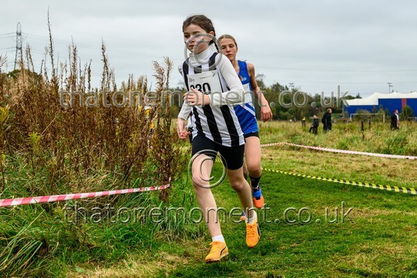 WestRLY25-811844 - Young Female Set One