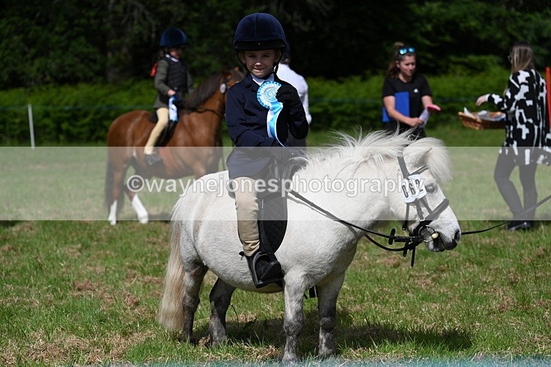 WJ7_0951 - Class 8 First Rally Pony