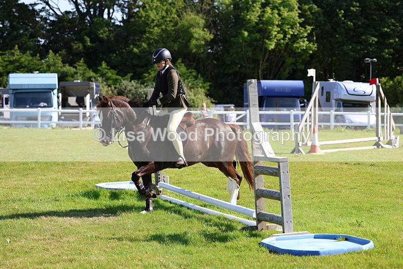 3E7A5936 - Class 27: Novice Working Hunter Pony