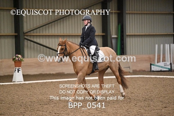 BPP_0541 - 15 - D JONES