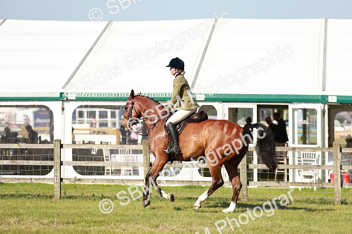 SBM_19246 - Class 115-116 - LIHS BSHA Rising Star Working Hunter & Show Horse