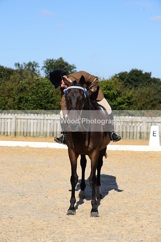 1X9A7630 - Class 7: Novice Ridden Hunter/Hack/Cob/Riding Horse