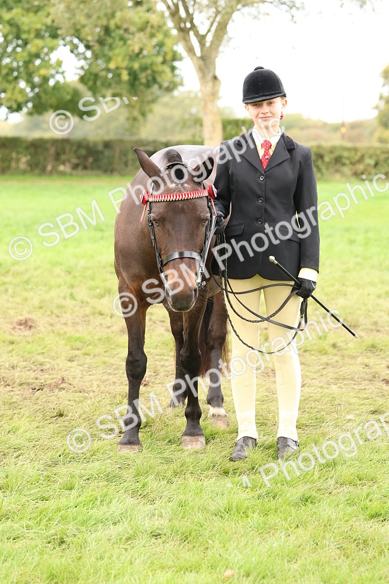 SBM_59910 - S36 - Rehabiliated Rescue Horse & Pony In Hand & Ridden