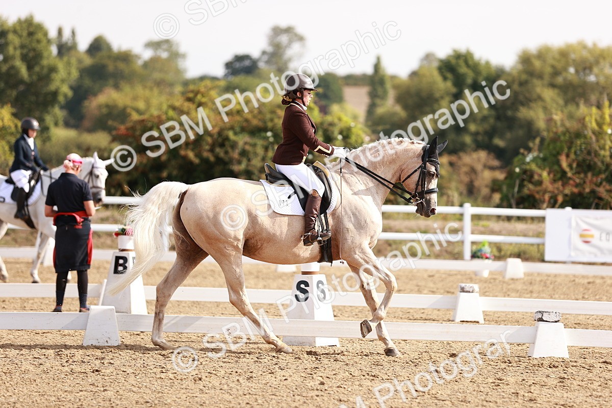 SBM_017019 - Class 10 - Medium 6