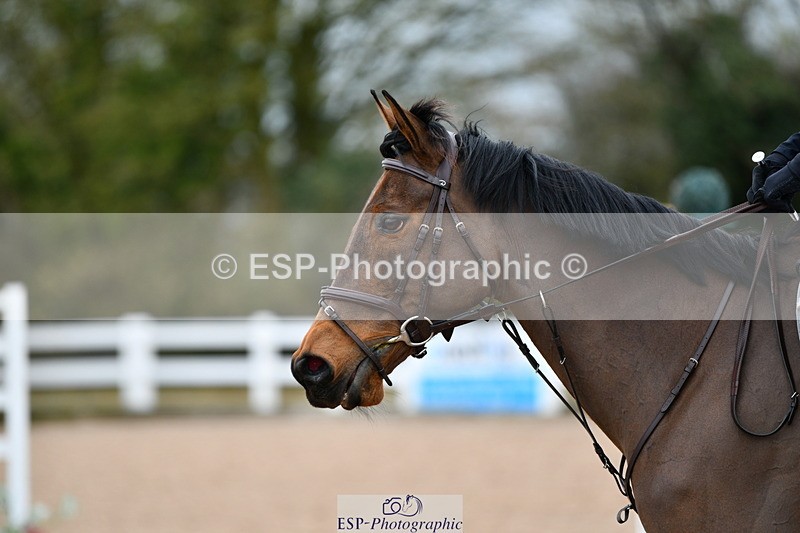 240316A-105431-02846 - Cls 20 British Novice and 90cm Open
