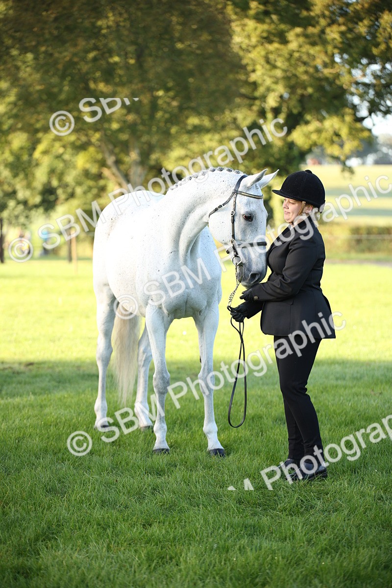 SBM_32327 - S8 - Best Turned Out