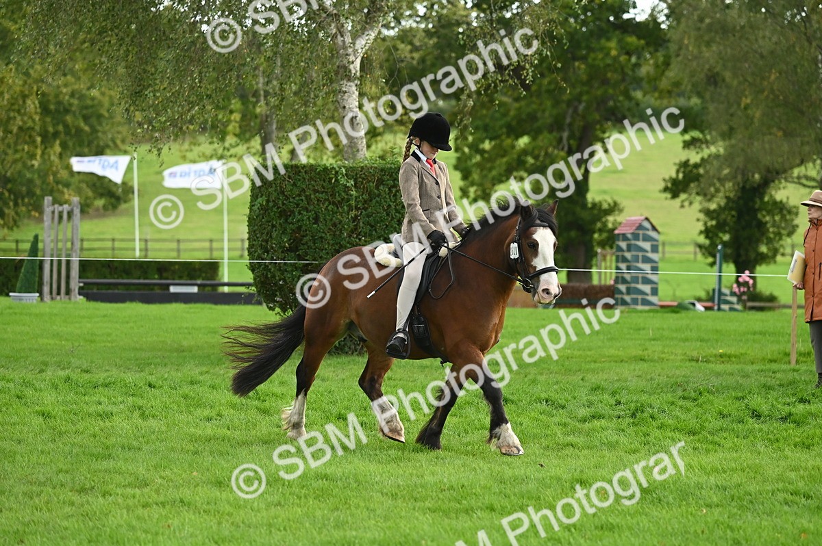 SBM_26601 - S7 - Novice & Newcomer Ridden Pony