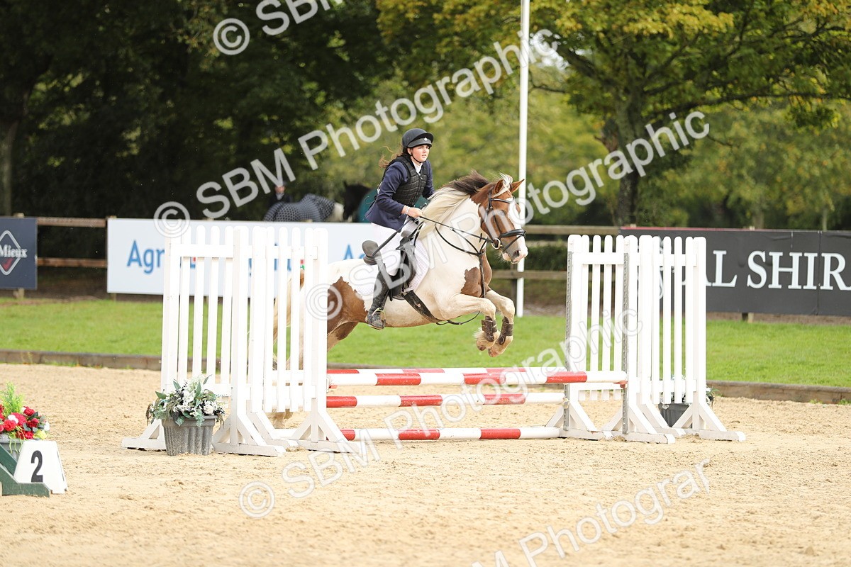 SBM_40453 - J21 - Junior Horse 60cm Championship
