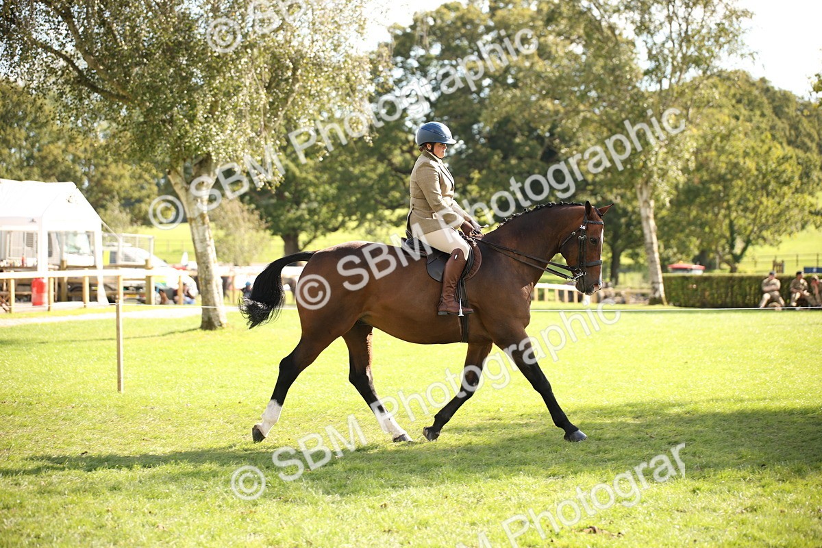 SBM_50066 - S26 - Young Veteran - Ridden