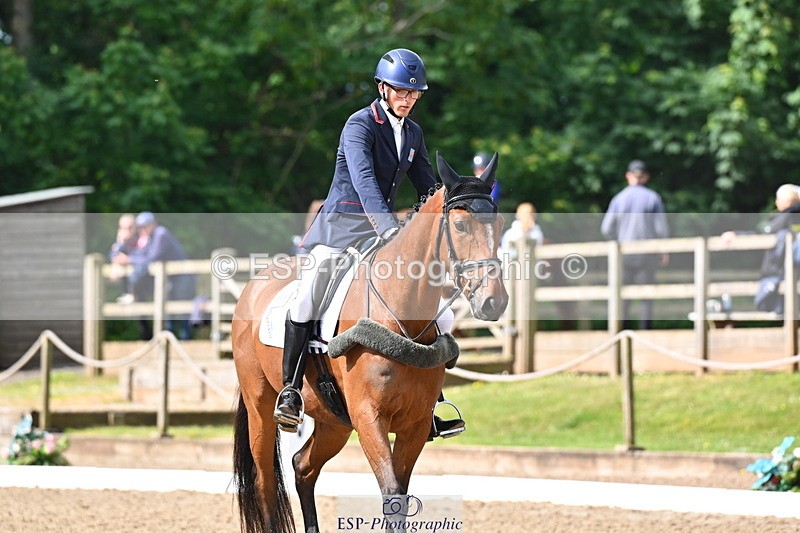 250523A-094315-05330 - C-258-Bill.Levett-ITALIAN.HARLEQUIN.NJ