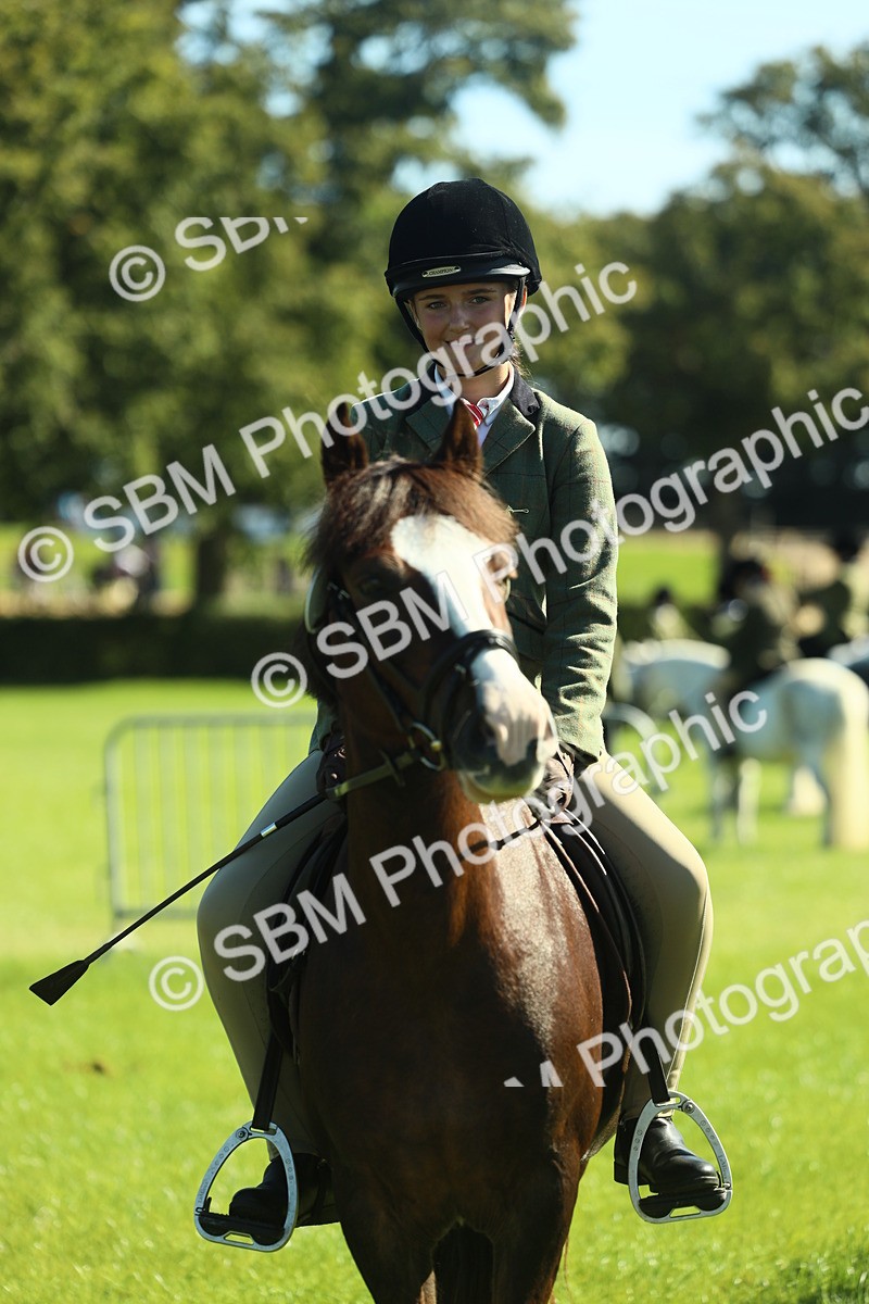 SBM_39053 - S29 - Novice & Newcomers Working Hunter Pony