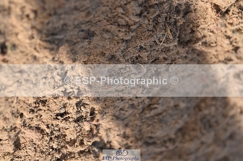 231015A-121900-07951 - Cls 24 85cm Amateur Q