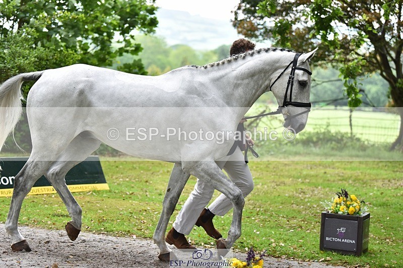 240522-165812-01292 - 230-MISTY_LIBERTY_LANE-Jesse_Campbell