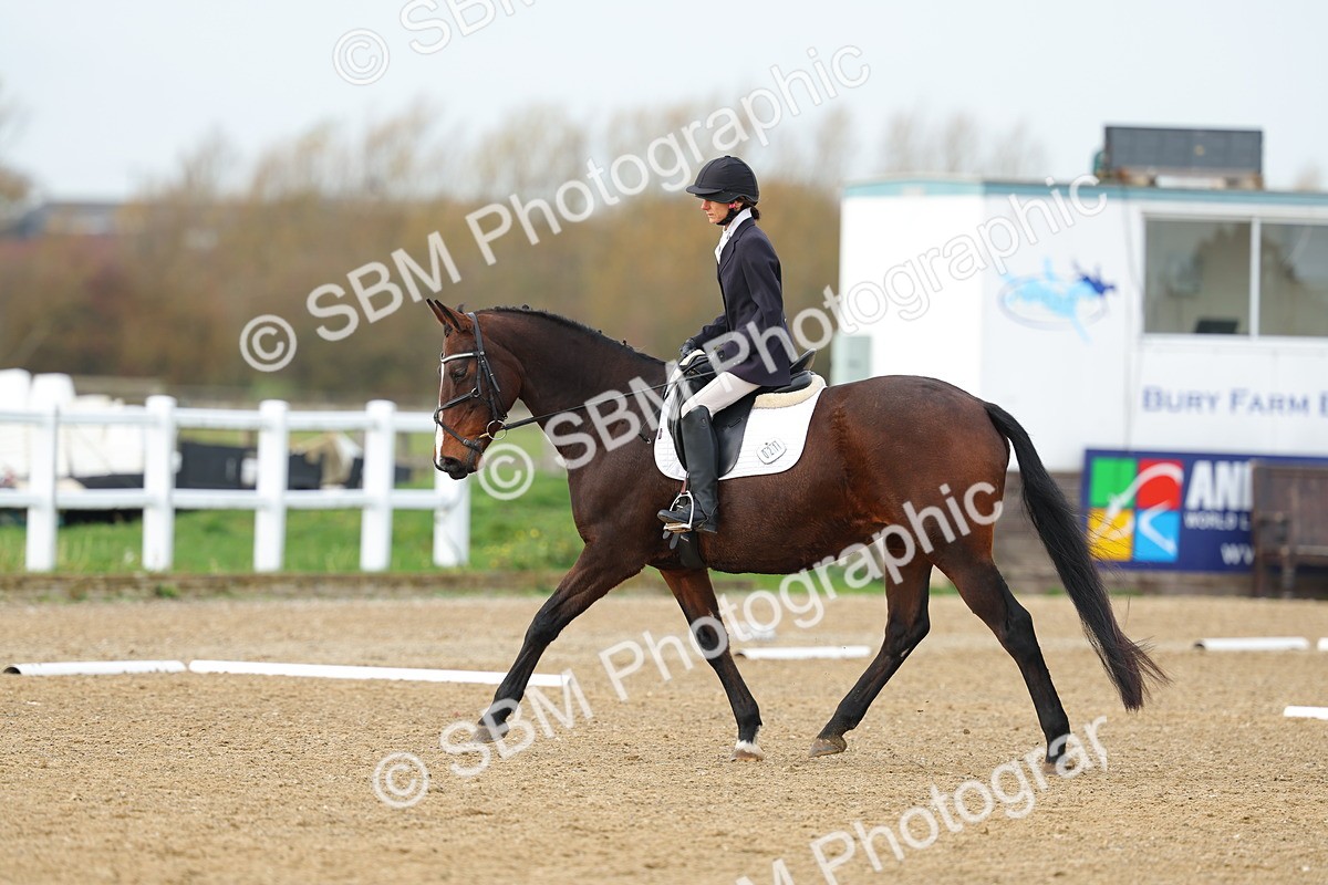 SBM_003517 - Class 6 - Novice 2