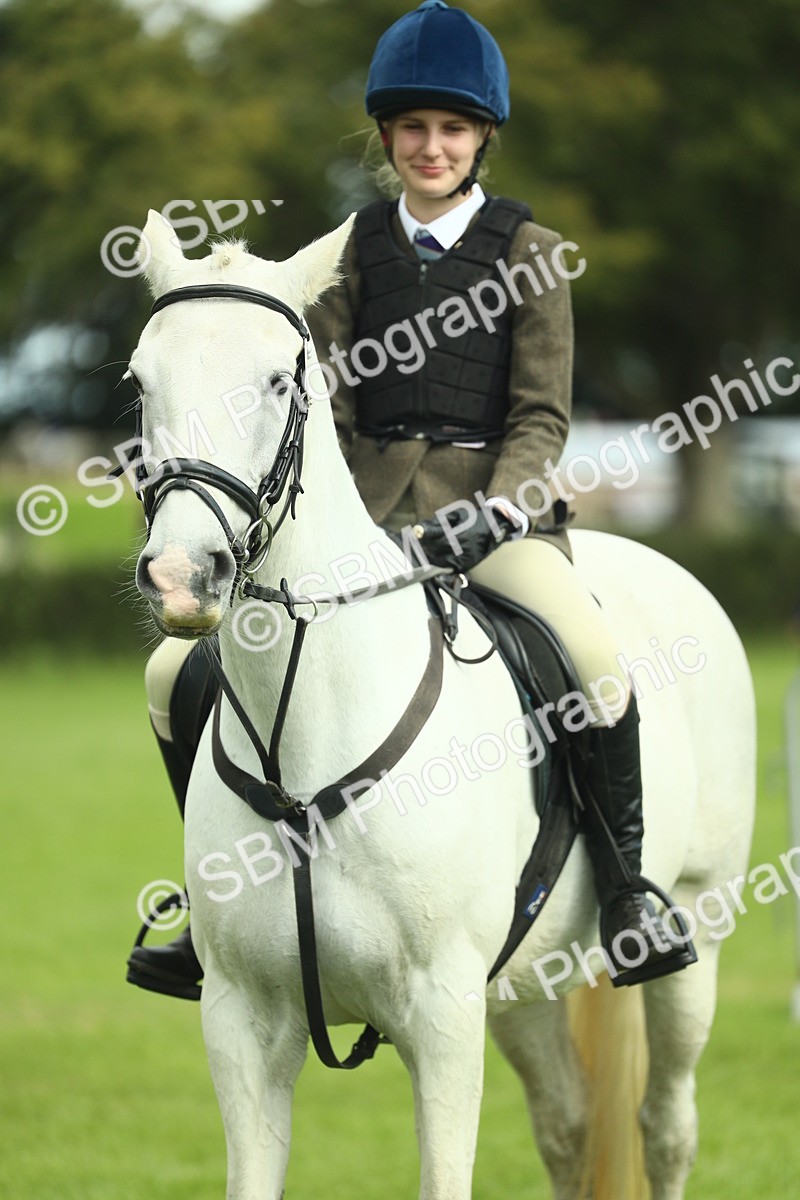 SBM_44791 - S31 - Working Hunter Pony