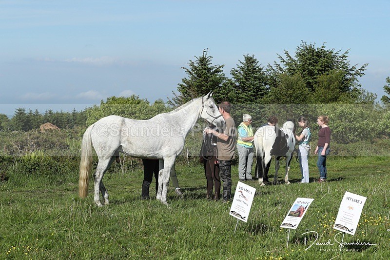 SPXX0051 - Friday vetting