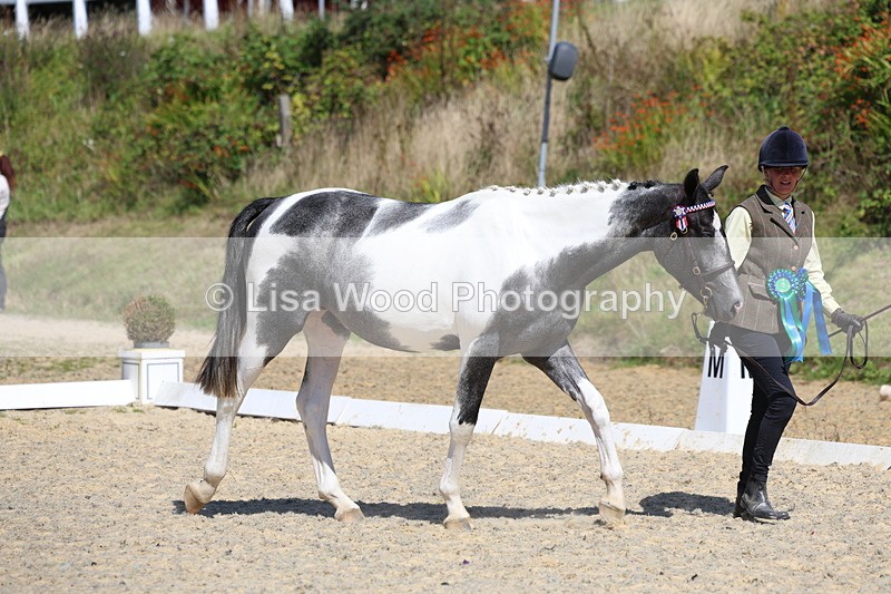 3E7A9799 - In Hand Championship