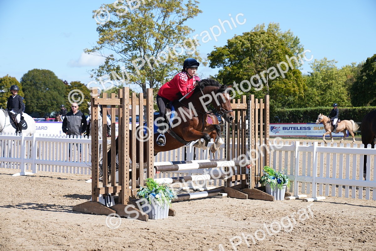 SBM_05035 - J56 - Clear Round 70cm