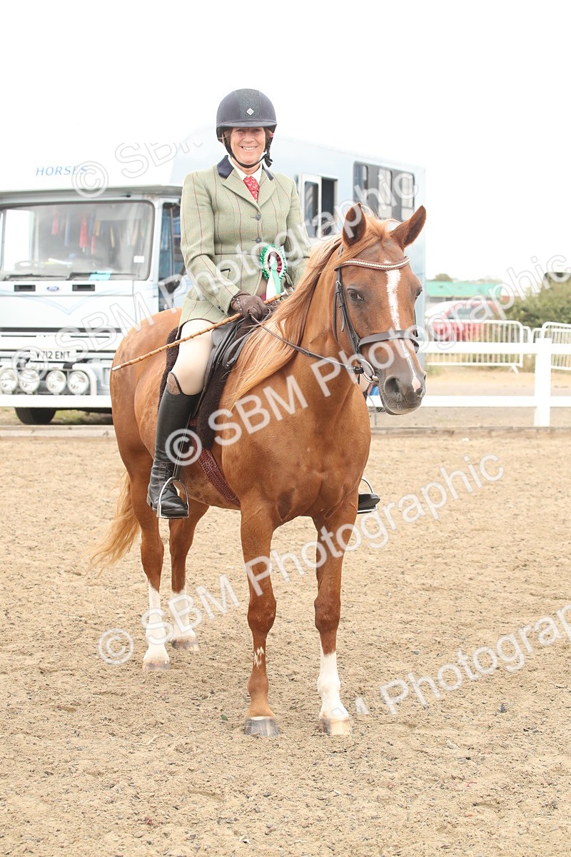 SBM_16832 - Class 507b - Working Veteran 60cm (20+)